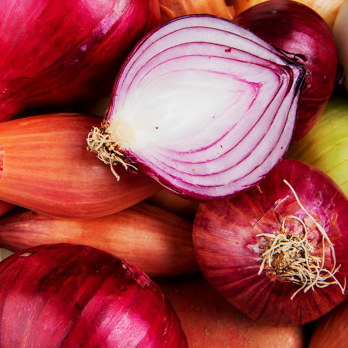 ONION EXTRACT