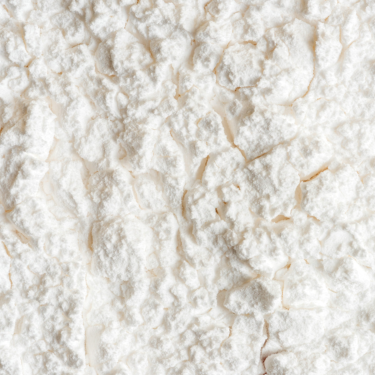 POLYGLUTAMIC ACID (PGA)