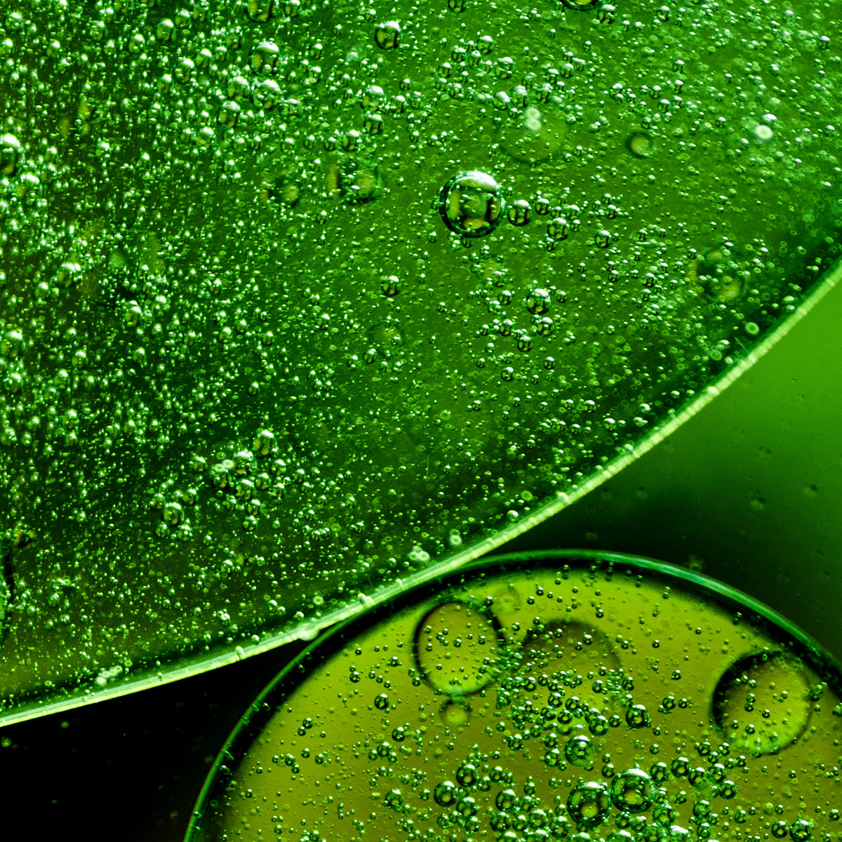 VEGAN COLLAGEN