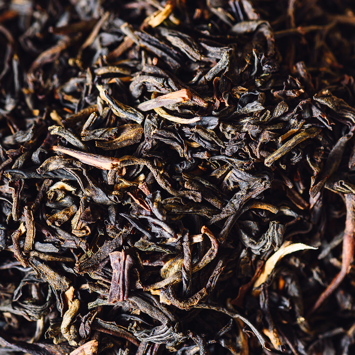BRITISH BLACK TEA EXTRACT