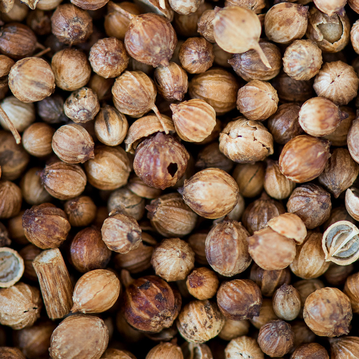 MORINGA SEED OIL