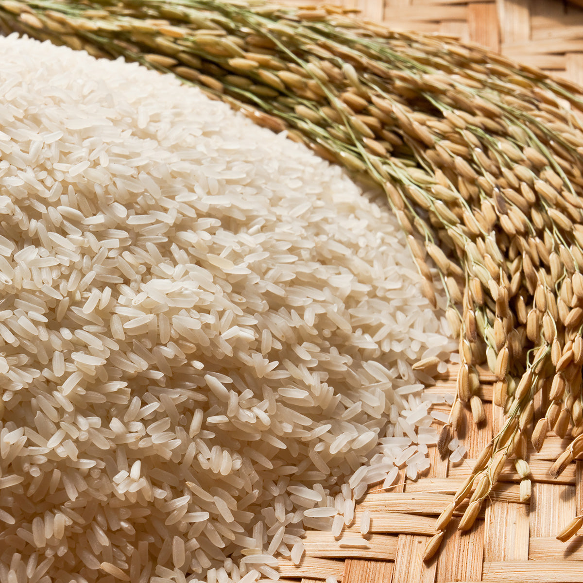 RICE REBOOT BLEND