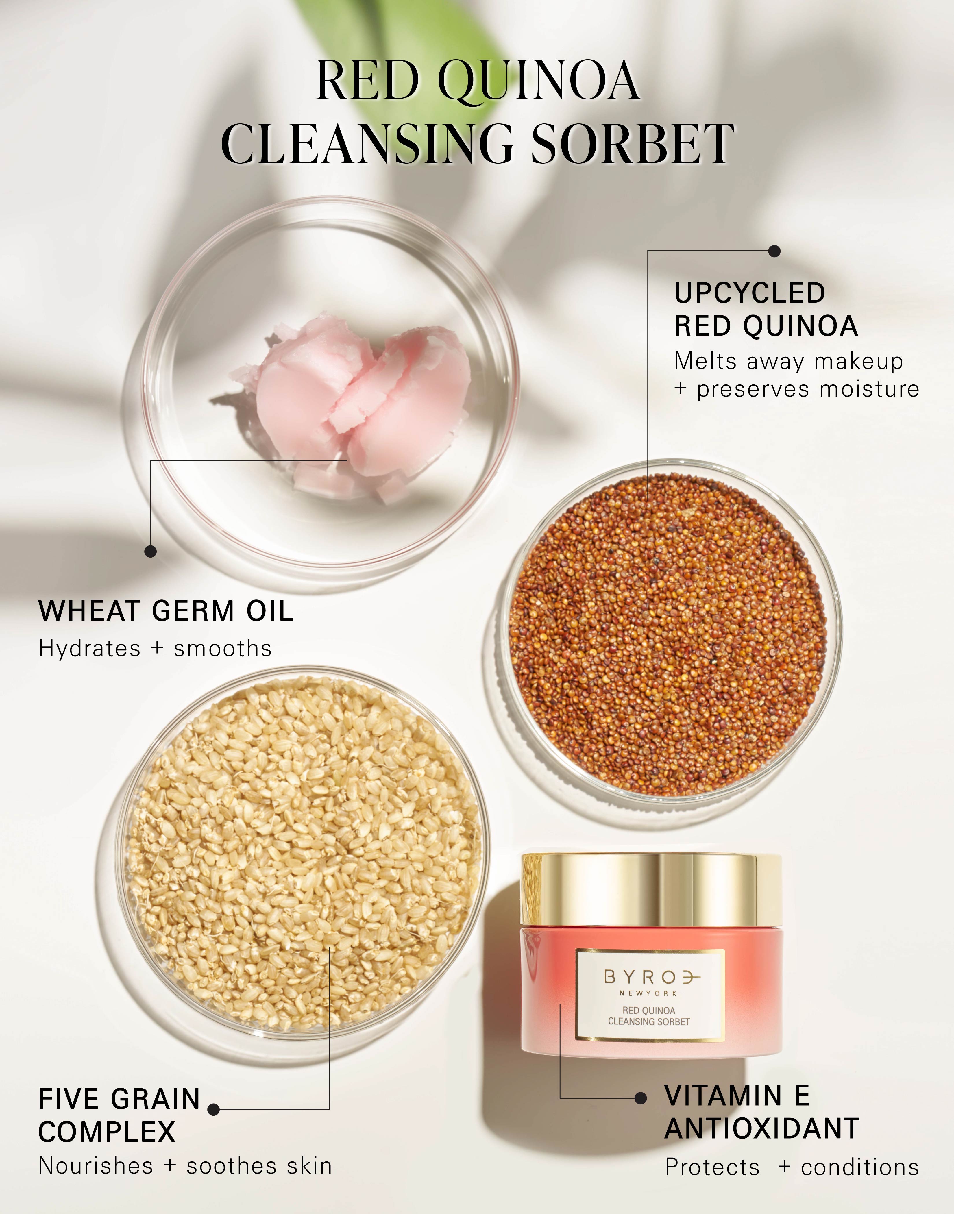 A photo of Red Quinoa Cleansing Sorbet with trays showcasing red quinoa, the cleansing sorbet texture, and five grain complex