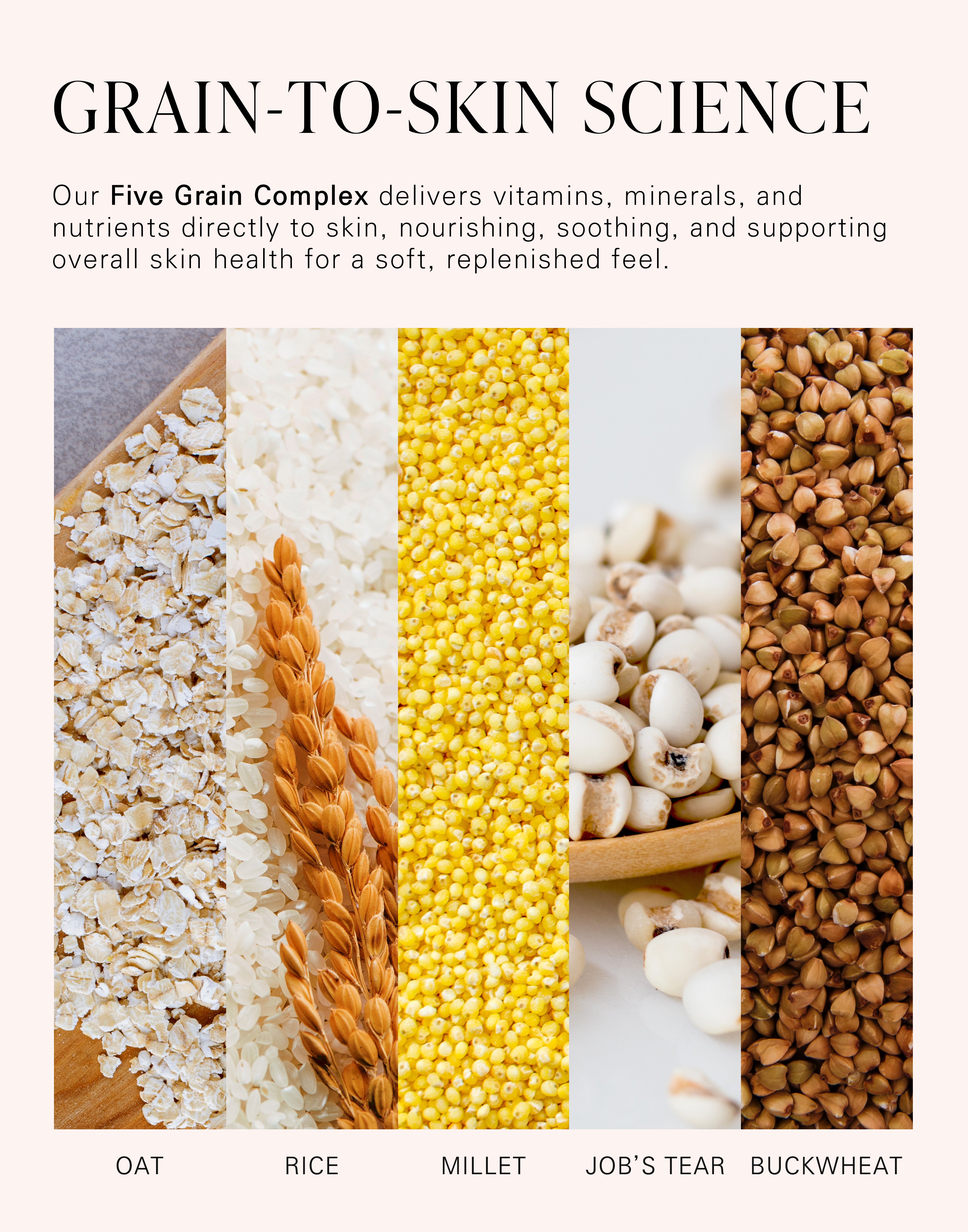 A graphic explaining the benefits of our Five Grain Complex