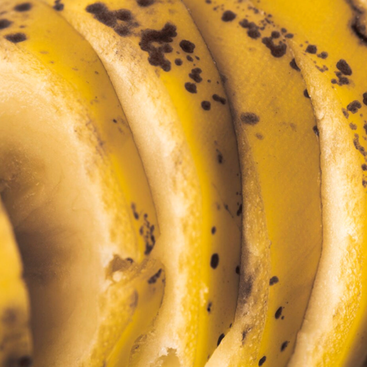 UPCYCLED BANANA PEEL EXTRACT