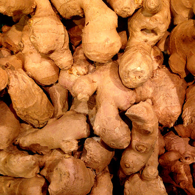 ENCAPSULATED GINGER ROOT EXTRACT
