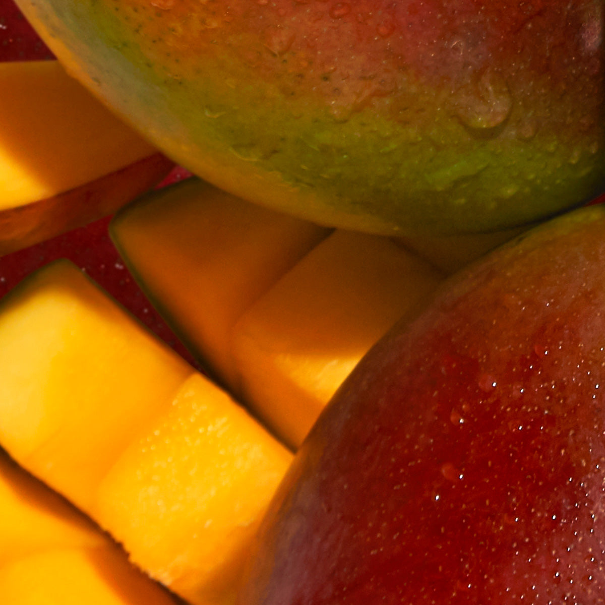 UPCYCLED MANGO SEED EXTRACT