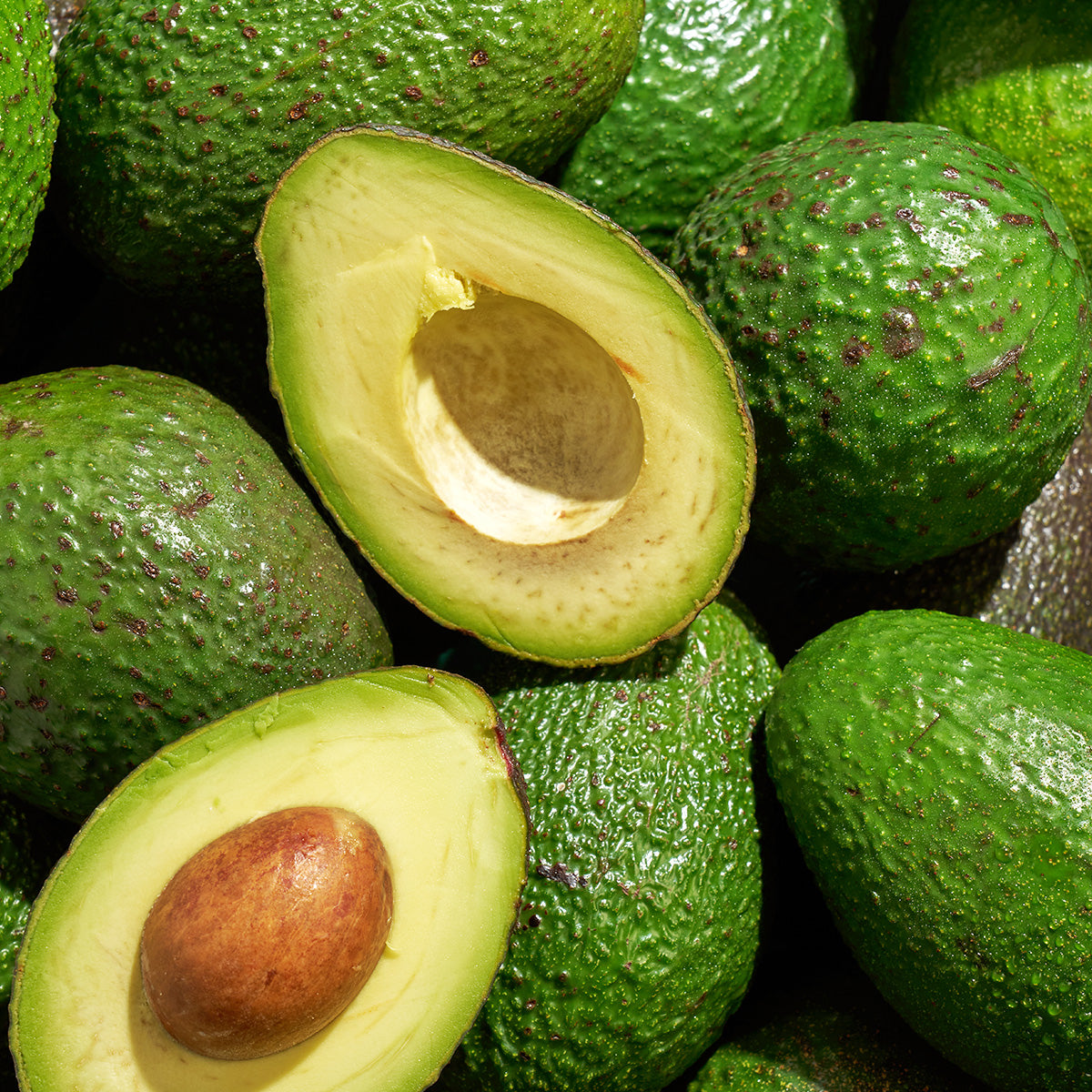 AVOCADO PEPTIDES