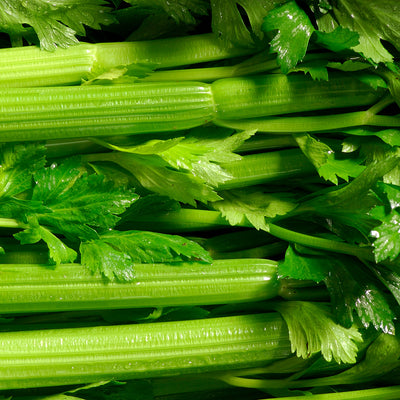 Celery Infused Antioxidant Complex