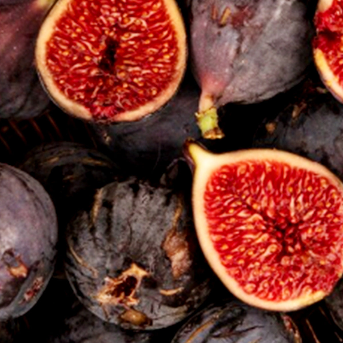 UPCYCLED FIG EXTRACT