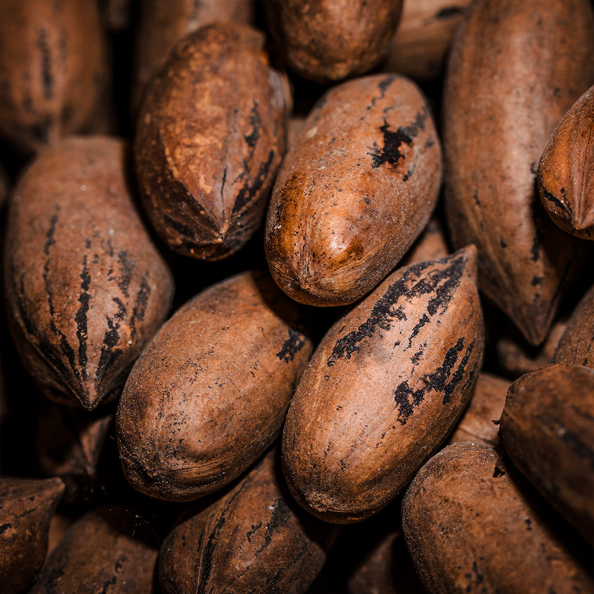  JOJOBA OIL