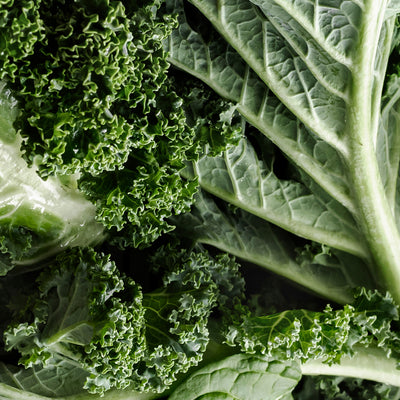 VEGELIVE™ Upcycled Jeju Kale