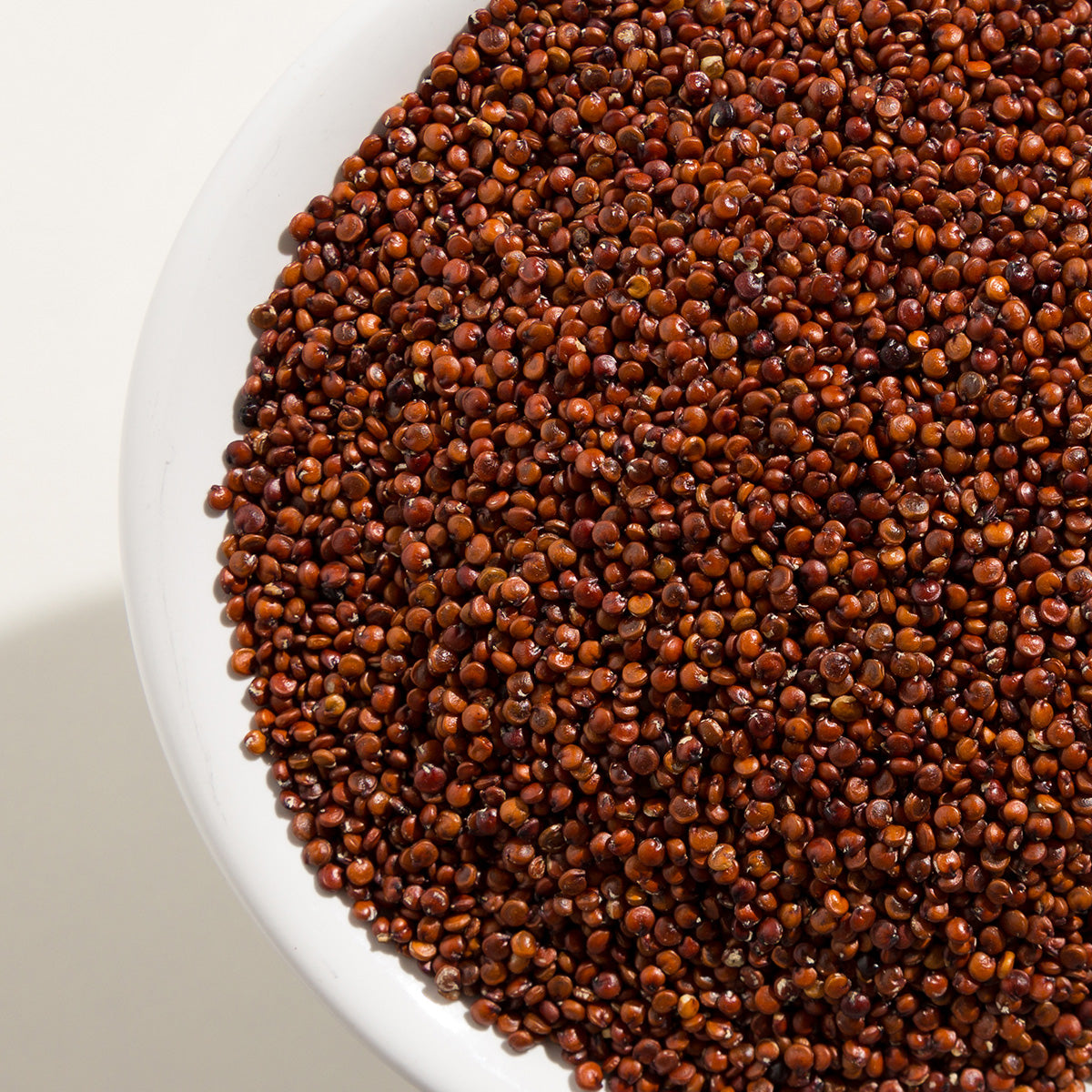 UPCYCLED RED QUINOA EXTRACT