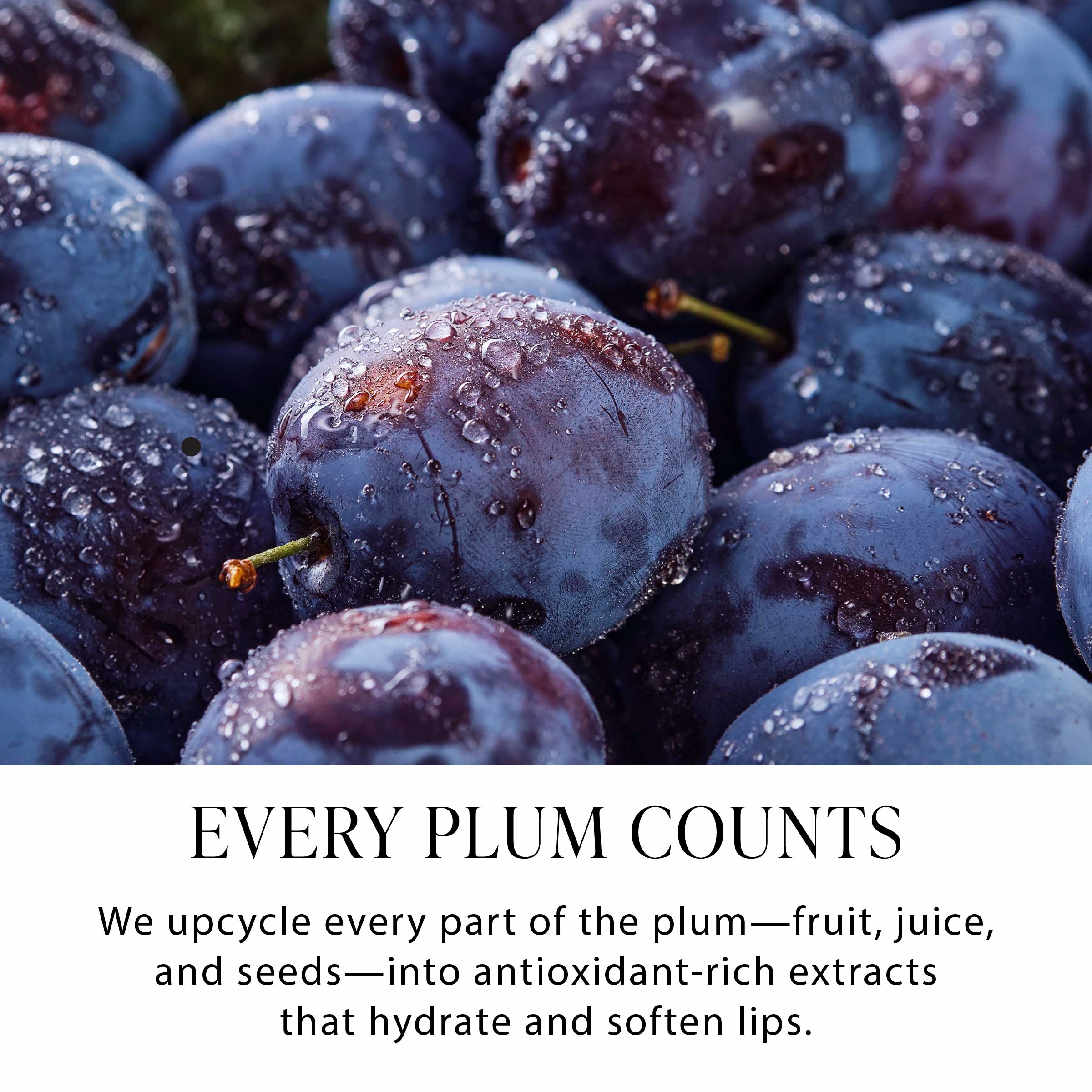 Sweet Treats Lip Oil Trio