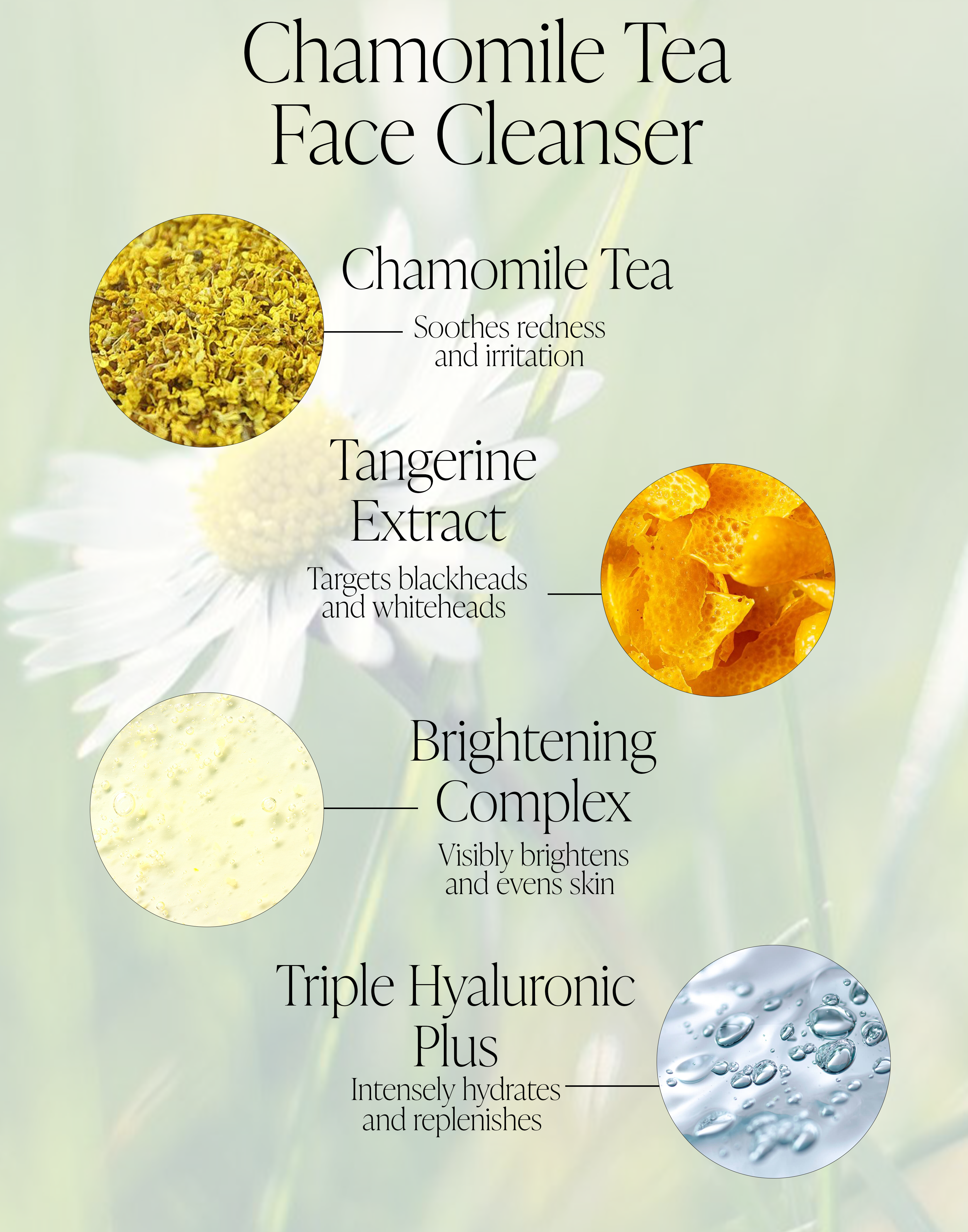 Chamomile Tea Face Cleanser