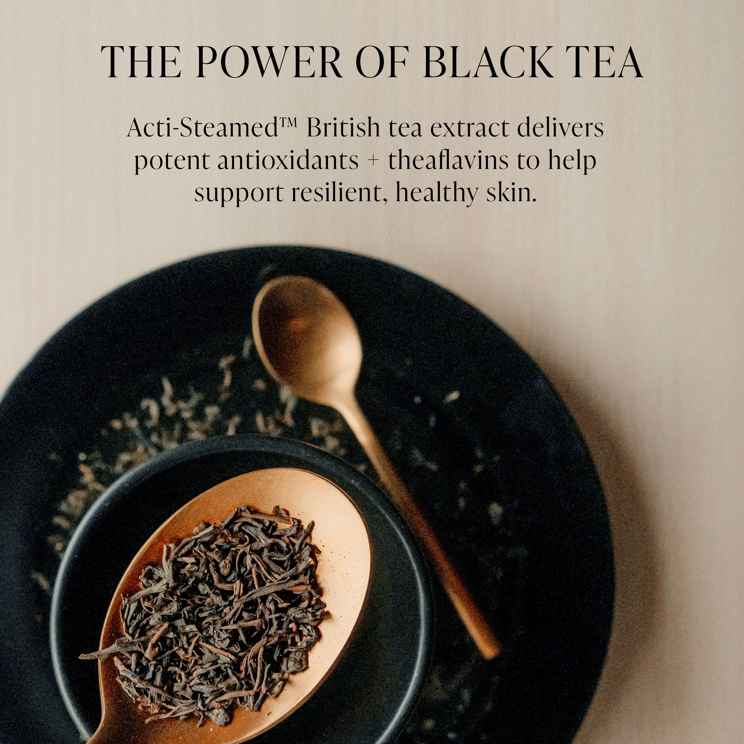 English Breakfast Tea Milky Essence
