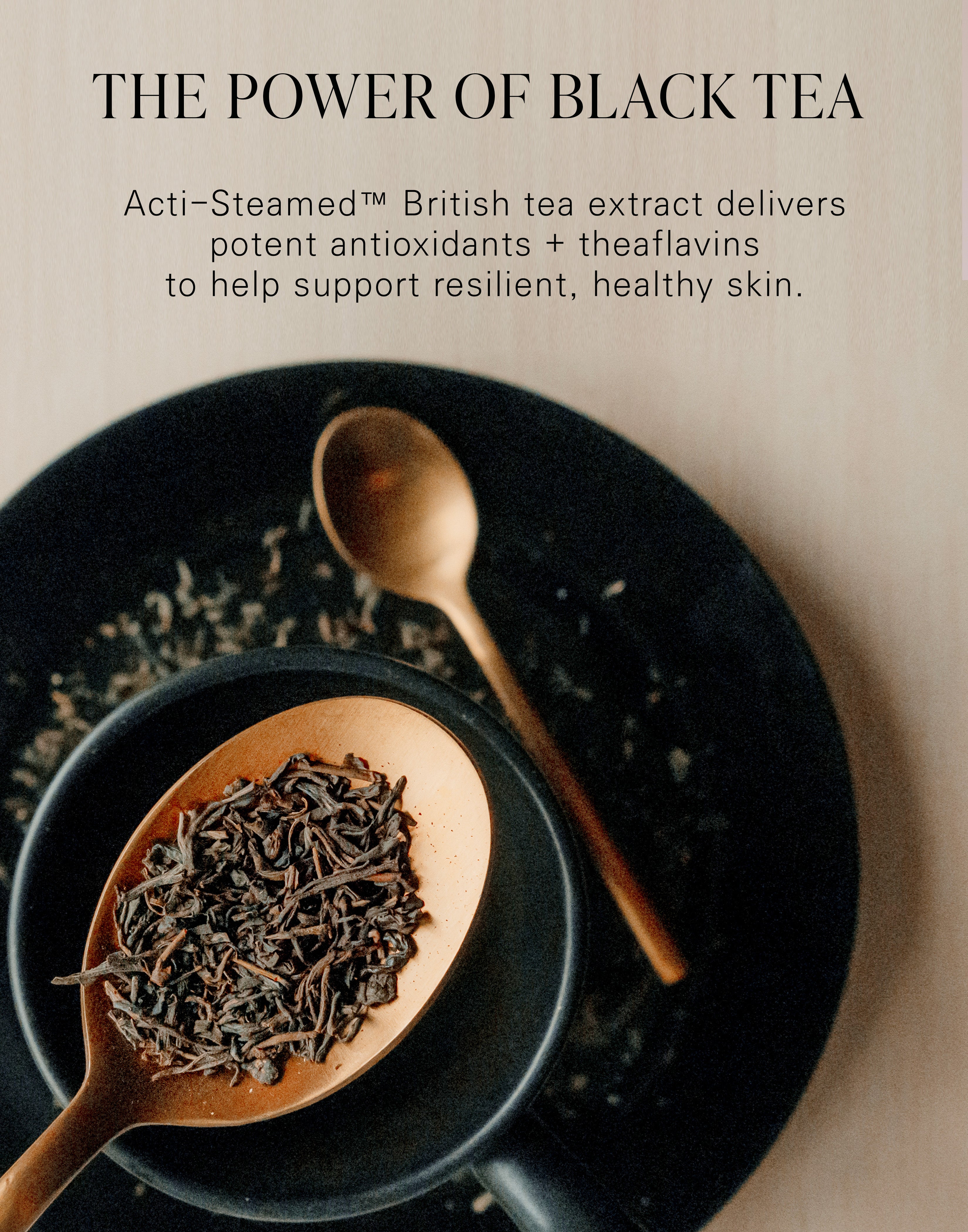English Breakfast Tea Milky Essence