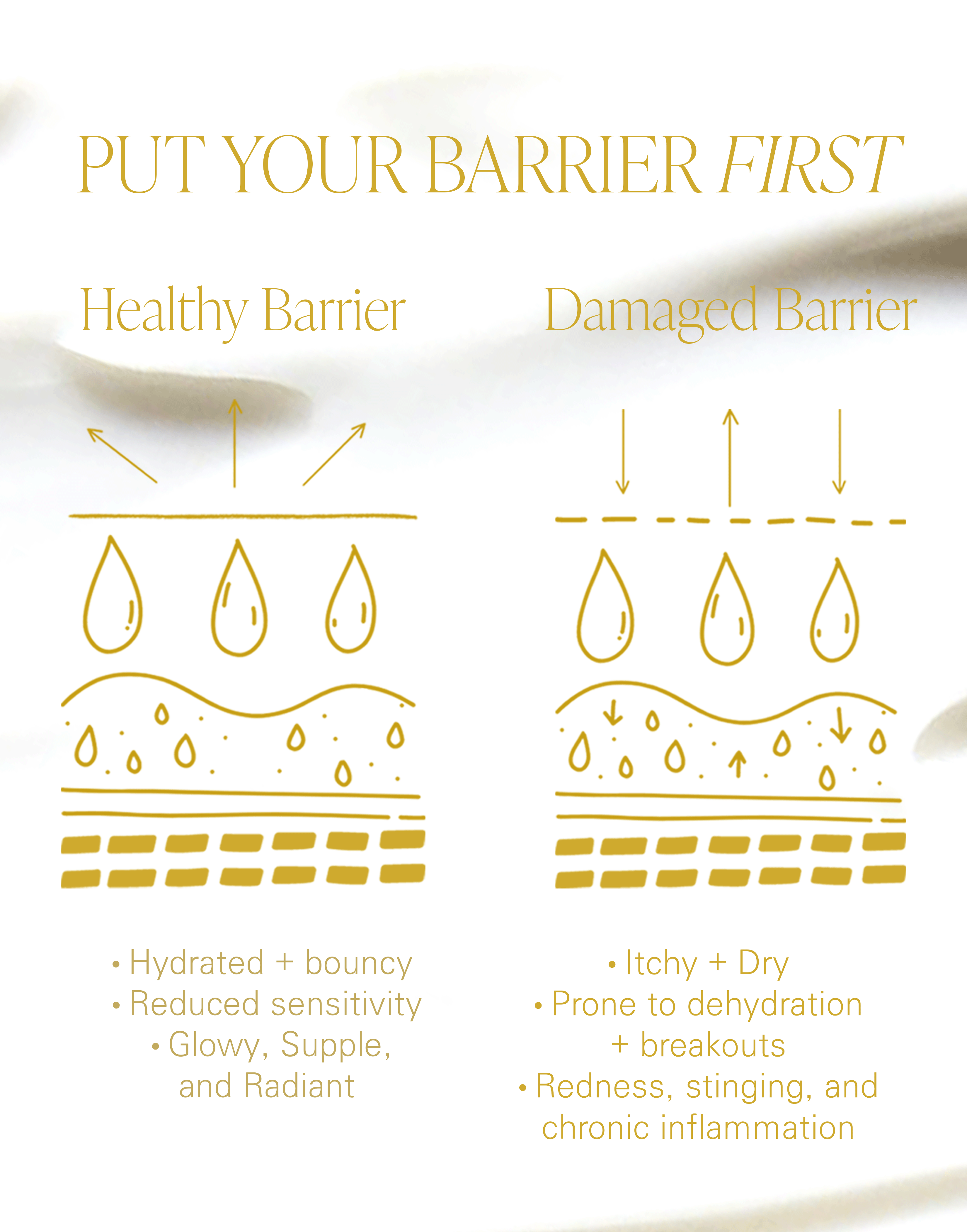 Healthy vs Damaged Barrier Graphic