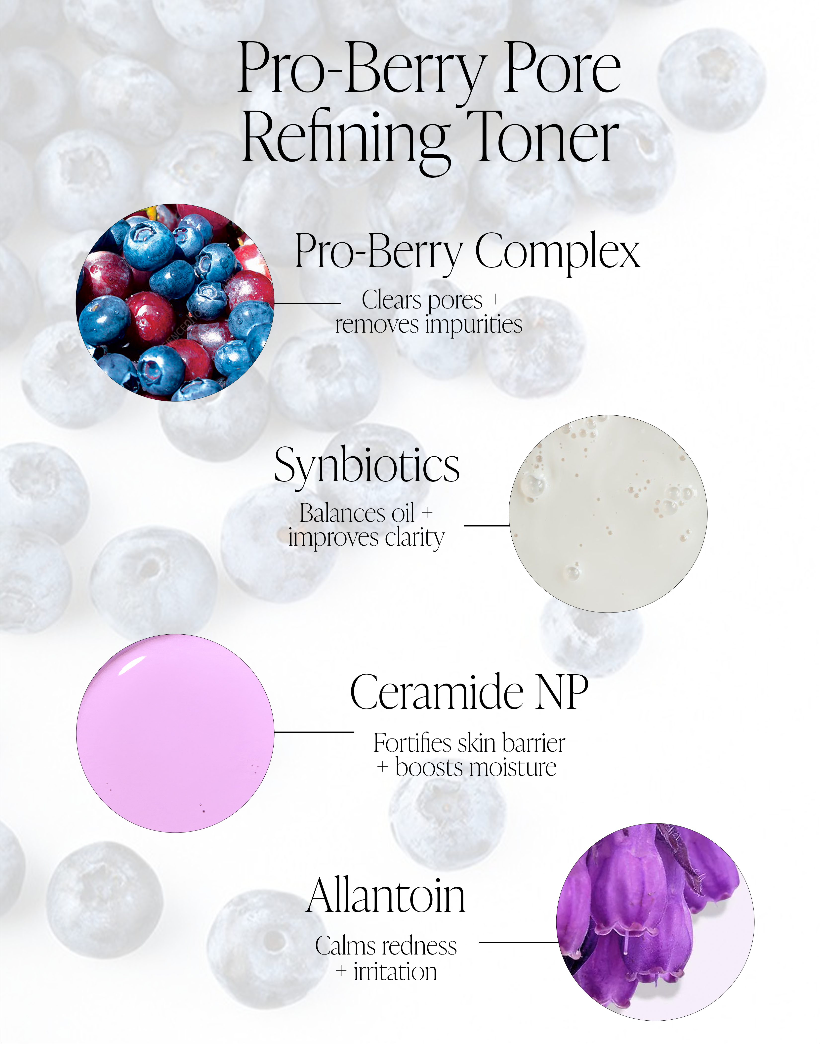 Pro-Berry Pore Refining Toner