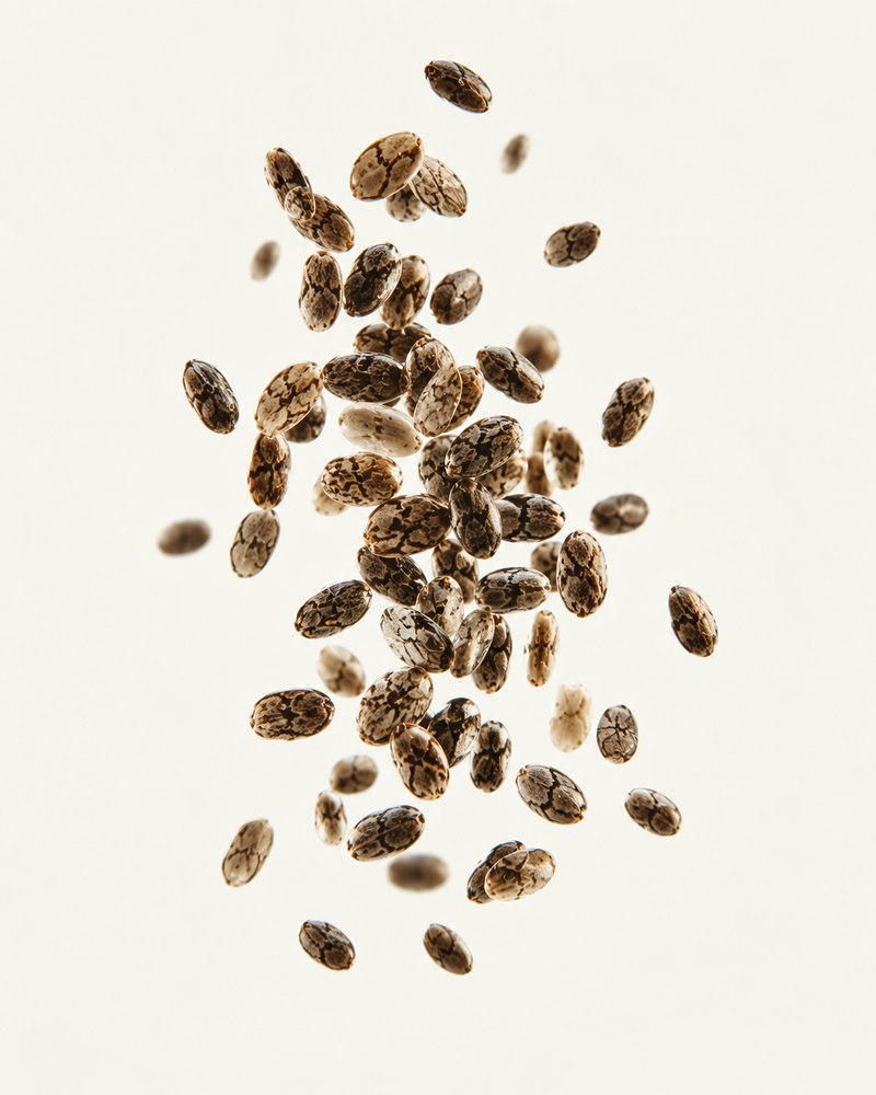 Chia Seeds
