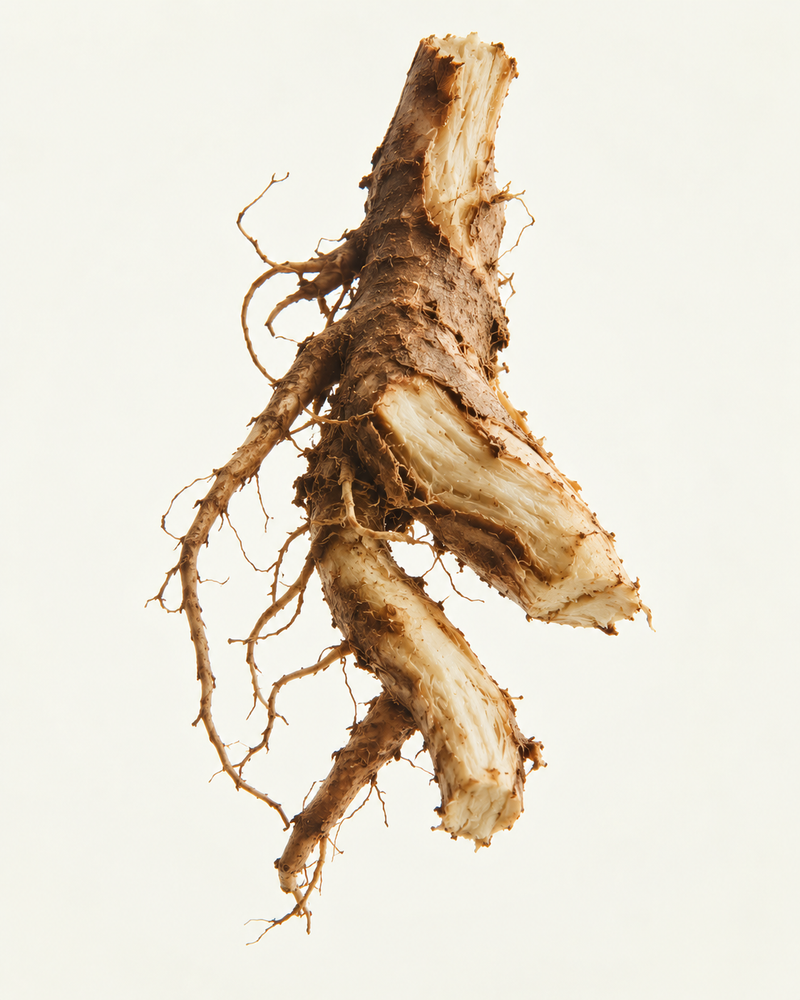 Plum Root