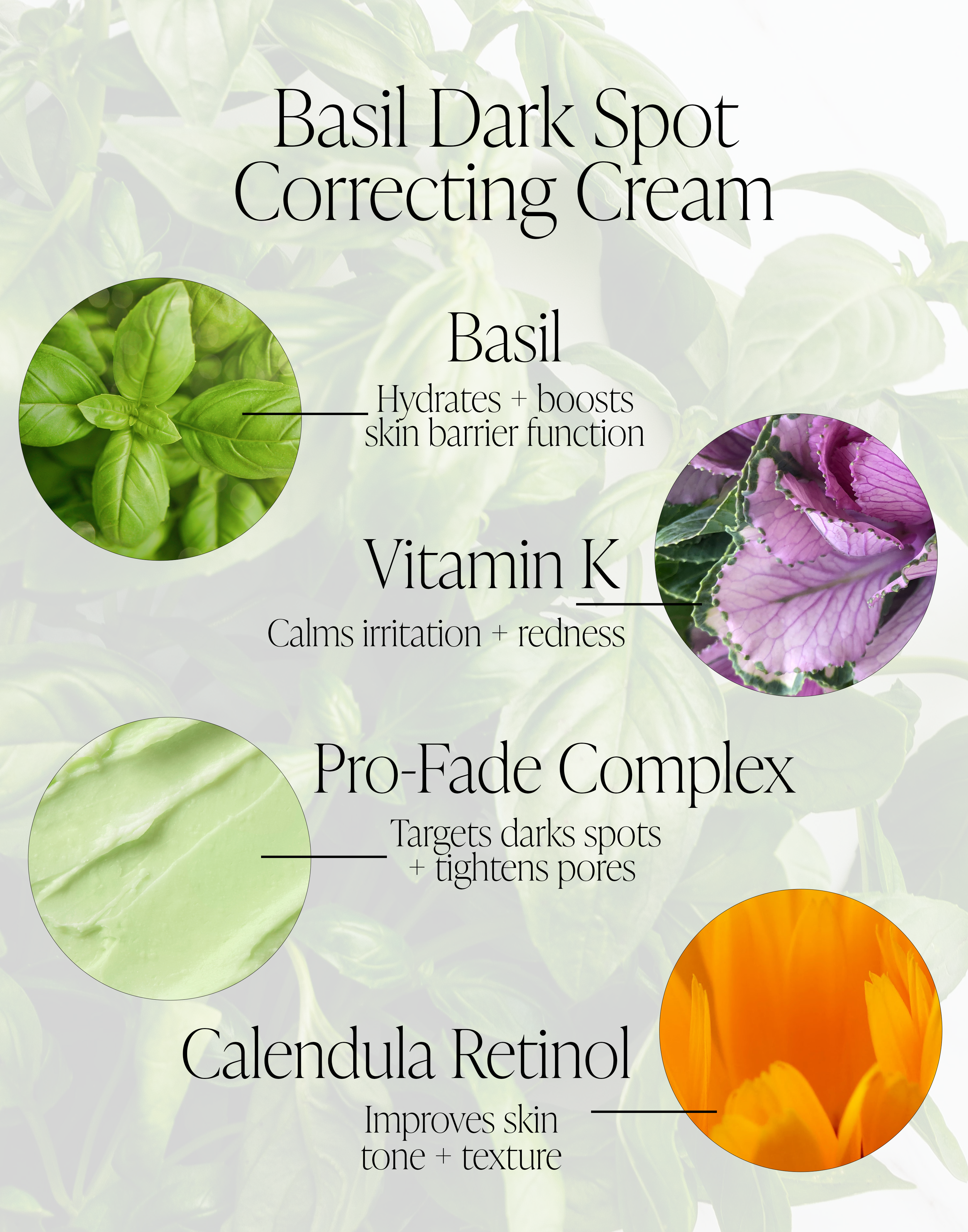 Basil Dark Spot Correcting Cream